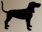 icon of dog.