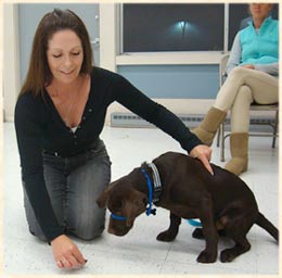 Laura training a puppy.